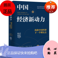 中国经济新动力 找准中国经济下一个增长点 研判中国经济发展趋势展望未来中国发展前景 中国经济书籍