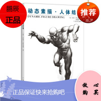 动态素描 人体结构 伯恩霍加思 林柳源译 艺术素描速写 重叠式素描 人体结构造型手绘技法艺用全集