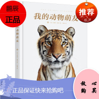 我的动物萌友 兰德尔福特 秋千童书 3-6岁童书动物科普百科书籍 动物肖像摄影集 探秘摄影棚中的故事