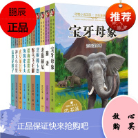 沈石溪动物小说王国第一辑 套装共10册 宝牙母象+狼妻+老猴赫尼+北极狐卡塔+神犬小宾果等儿童文学