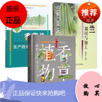 香草栽培与制作3册 香草植物就要这样玩/香草兰栽培与加工/香草兰生产技术彩色图解 家庭园艺书籍