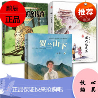 3册 贺兰山下/城门几丈高/太行山的金钱豹 成长励志9岁-14岁课后儿童文学读物 少儿成长故事书籍