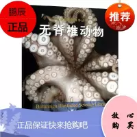 无脊椎动物 不列颠图解科学丛书 美国不列颠百科全书公司 无脊椎动物科普读物 百科知识 科普问答书籍
