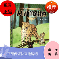 太行山的金钱豹 高洪波 雪狼谷 动物小说典藏系列 童书绘本 中国儿童文学 动物小说书籍