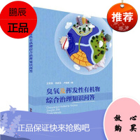 臭氧及挥发性有机物综合治理知识问答 王宏亮 科学与自然 环境科学 环保科普丛书 中国环境出版