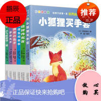 给孩子的第一套世界经典6册 柳林风声彼得兔的故事拉封丹寓言绒布小兔子小飞侠彼得潘小狐狸买手套