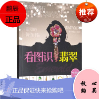 看图识翡翠 沈理达 著 艺术鉴赏收藏书籍 翡翠投资与收藏 图文讲解 翡翠知识普及工具书 翡翠入门读物