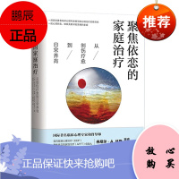聚焦依恋的家庭治疗 从创伤疗愈到日常养育 丹尼尔A休斯 家庭关系书籍 青少年健康成长 父母养育孩子