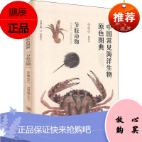 中国常见海洋生物原色图典 节肢动物 少儿科普知识读本 海洋节肢动物的特征介绍 海洋生物介绍的工具书籍