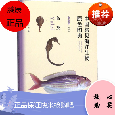 中国常见海洋生物原色图典 鱼类 少儿科普知识读本 常见海洋鱼类的介绍 海洋生物介绍的工具书籍