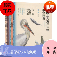 中国常见海洋生物原色图典6册 鸟类爬行类哺乳类/软体动物/植物/鱼类/节肢动物等 少儿科普知识书籍