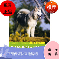 阿拉斯加雪橇犬/雪域之子 陕西科学技术出版社 王晓 著作 生活休闲 东润堂正版