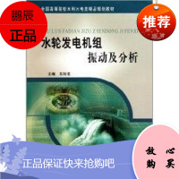 水轮发电机组振动及分析 黄河水利出版社 王玲花 著 水利电力 东润堂正版