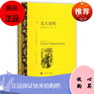 远大前程 上海译文出版社 (英)狄更斯 著作 王科一 译者 外国文学名著读物 东润堂正版