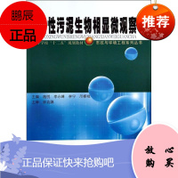 活性污泥生物相显微观察