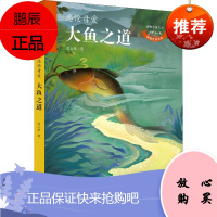 大鱼之道 北京理工大学出版社 沈石溪 著 儿童文学 东润堂正版