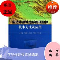 柴达木盆地地球物理勘探技术方法及应用 科学出版社 付锁堂 著作 冶金、地质 东润堂正版