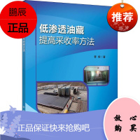 低渗透油藏提高采收率方法 中国石化出版社 曹毅 著 陈庆 编 能源科学 东润堂正版