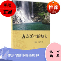 唐诗诞生的地方 山东画报出版社 李振华 著 古典文学理论 东润堂正版