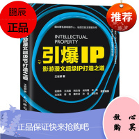 引爆IP 影游漫文超级IP打造之道 王世颖