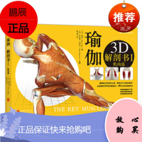 瑜伽3D解剖书I (美)瑞隆,(美)麦西尔 绘,赖孟怡