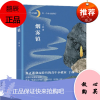 烟雾镇 丁颜 (2019收获文学排行榜小说,第二届钟山之星文学奖)上海文艺出版