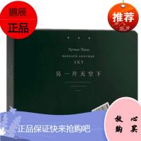 另一片天空下 走进历史的全球之旅 中信出版社