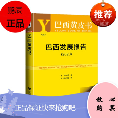 巴西黄皮书:巴西发展报告(2020) 程晶 缴洁 著 社会科学文献出版社