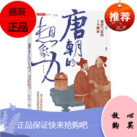 唐朝的想象力 盛唐气象的7个侧面 蒲实,丘濂 中信出版社