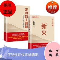 走向自主创新:新火+寻求中国力量的源泉(套装2册) 路风 著 中国人民大学出版社