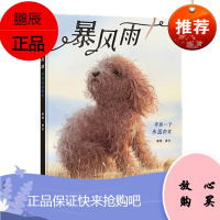 暴风雨 郭婧 中信出版社图书