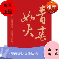 青春如火:北京市大兴区干部援建纪实