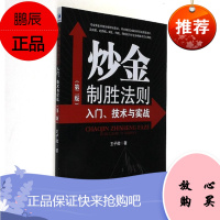 炒金制胜法则：入门、技术与实战 第二版