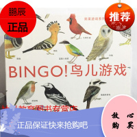 《宾果游戏系列:BINGO! 鸟儿游戏》家庭聚会、早教空间、亲子互动适用的的认知休闲