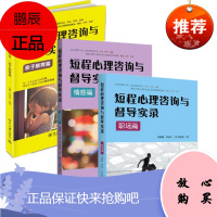 短程心理咨询与督导实录亲子教育篇+职场篇+情感篇[共3册]张道龙等著心理咨询与治疗