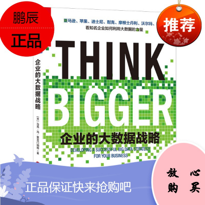 正版 企业的大数据战略 [THINK BIGGER]