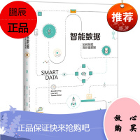 智能数据:如何挖掘高价值数据 中信出版社 比约恩·布劳卿