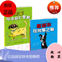 小狗梦想学院:墨菲与冲浪大营救+斯塔尔在风暴之巅 2册套装 [6-9岁]中信出版