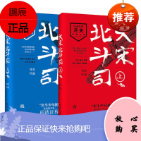 大宋北斗司套装(上、下) 月关 湖南文艺