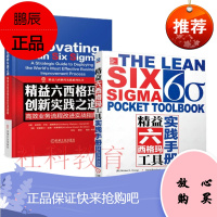精益六西格玛工具实践手册+精益六西格玛创新实践之道 高效业务流程改进实战指南 2册套装