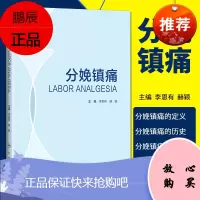 2正版分娩镇痛 常用的几种分娩镇痛方法的具体实施方法 理论与实践相结合的书 李恩有 赫颖主编 人民