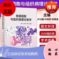 正版 骨髓细胞与组织病理诊断学 2020年4月参考书骨髓细胞与组织病理诊断学 卢兴国叶向军徐