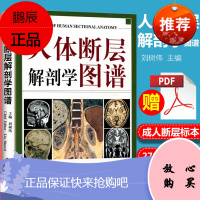 正版 人体断层解剖学图谱 刘树伟CT、MRI断层解刨影像彩色插图学习参考书 人体局部解剖学教程教材