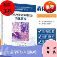 外科病理鉴别诊断图谱 消化系统 外科学书籍 2020年参考书 伊丽莎白 蒙哥马利 惠特尼 格林 著