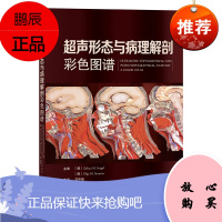 正版 超声形态与病理解剖彩色图谱 苏中振 主译 腹部器官 腹膜后间隙 包含相应的生理和病理解剖学信