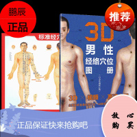 正版 3D男性经络穴位图册(白金珍藏修订版)++人体穴位挂图老中医养生堂编著经络穴位书籍3D立体图