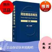 正版医学书 肾脏病临床概览 第二版 肾脏病学手册系列 内科学 肾脏病学临床手册概览 赵明辉 主编