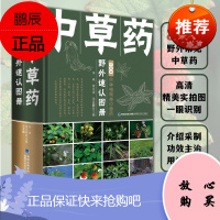 中草药野外速认图册 中草药野外速识一本就够 福建科学技术出版社