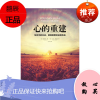 心的重建路易丝·海大卫·凯思乐心理学书籍北京联合出版有限责任公司新华书店正版图书