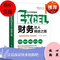 办公软件excel教程书籍财务excel财务达人精进之路 一键生成财务分析报告2020excel会计